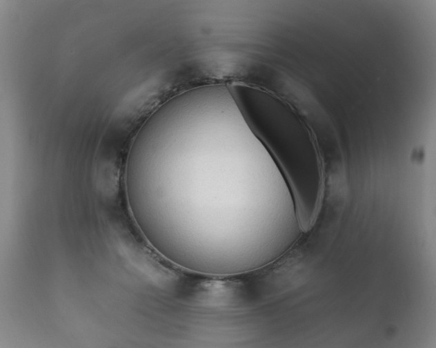 X0000112410558200908211124