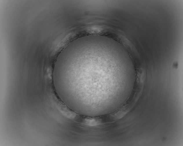 X0000112410561200908211124
