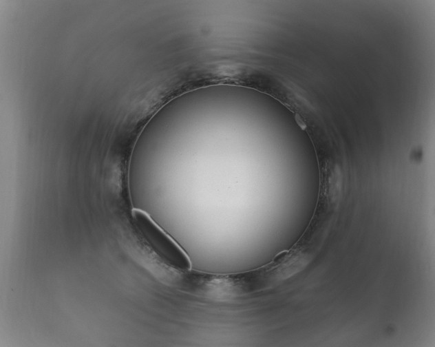 X0000112410562200908211124