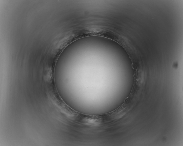 X0000112410563200908211124