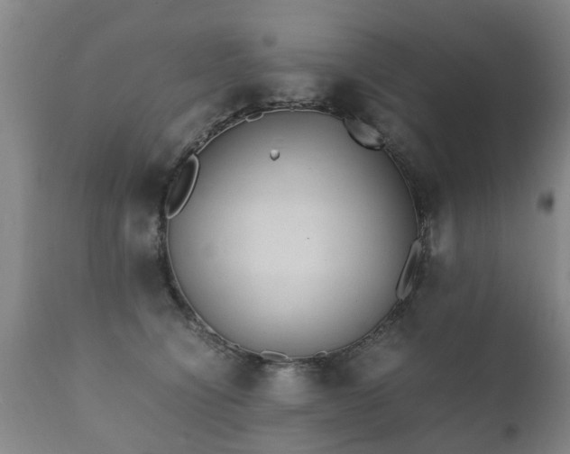 X0000112410564200908211124