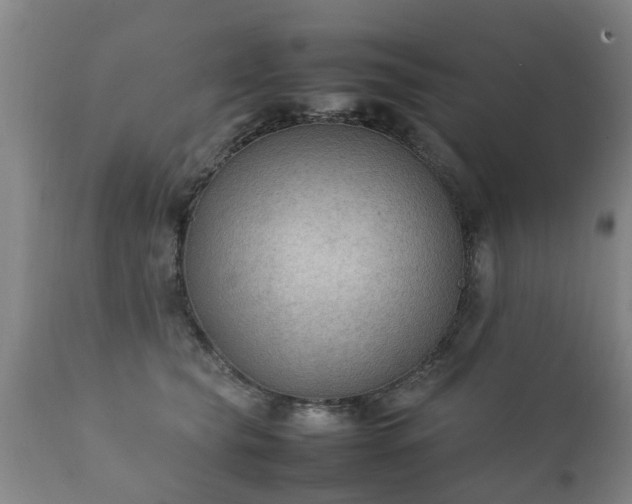 X0000112410565200908211124