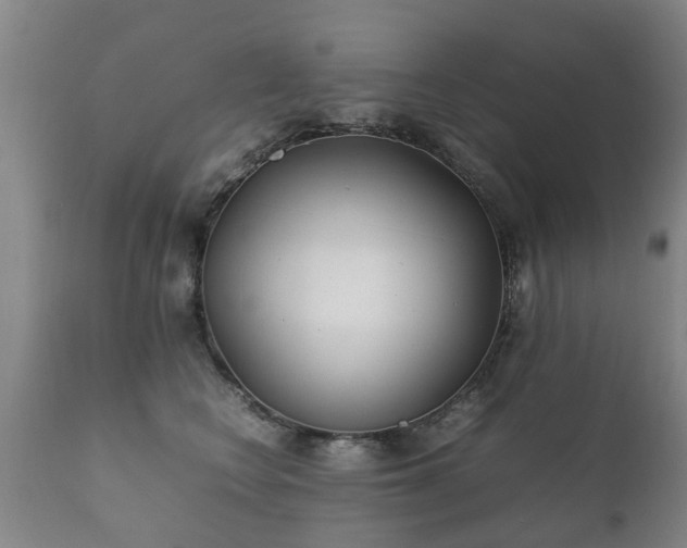 X0000112410566200908211124