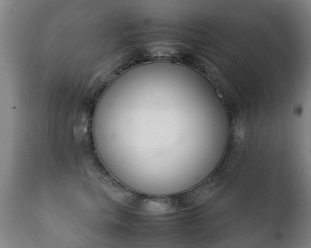 X0000112410567200908211124
