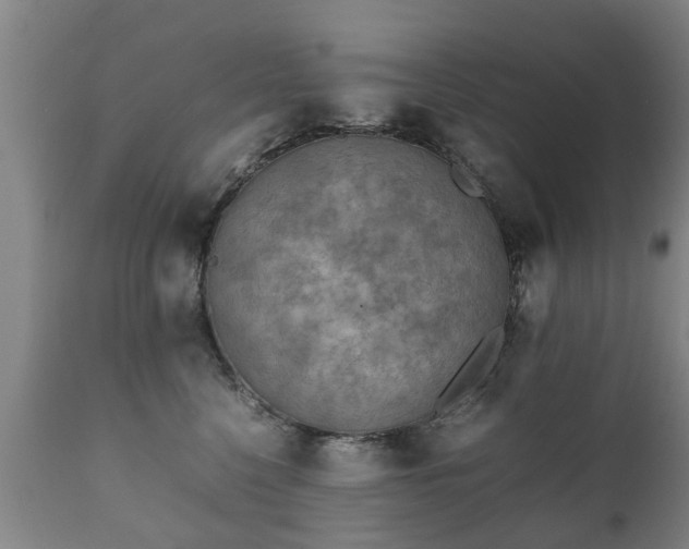 X0000112410568200908211124