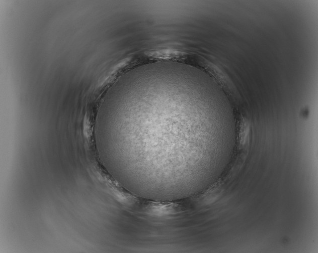 X0000112410569200908211124