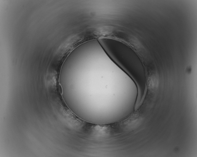 X0000112410570200908211125