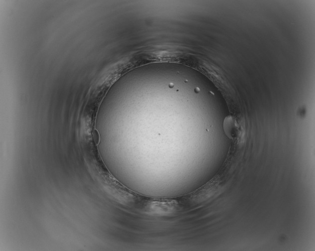 X0000112410571200908211125