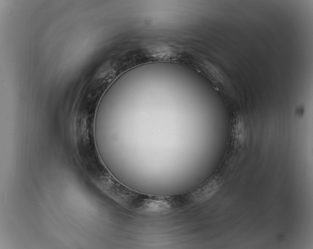 X0000112410572200908211125