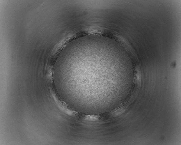 X0000112410573200908211125