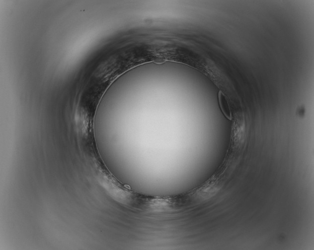 X0000112410574200908211125