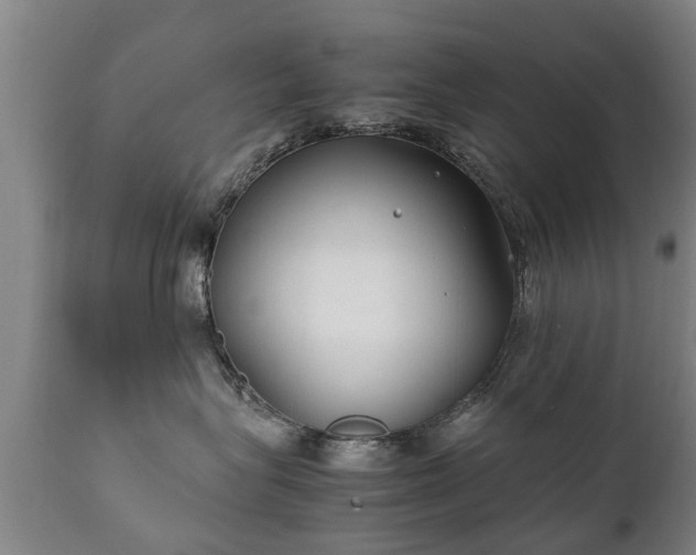 X0000112410575200908211125