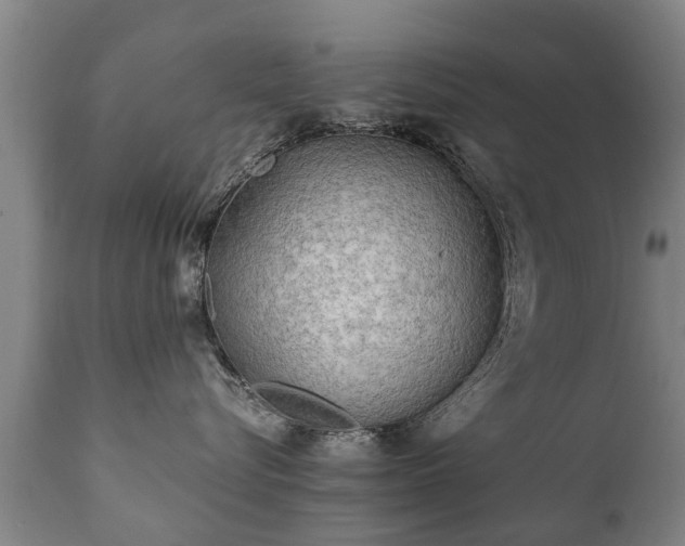 X0000112410576200908211125