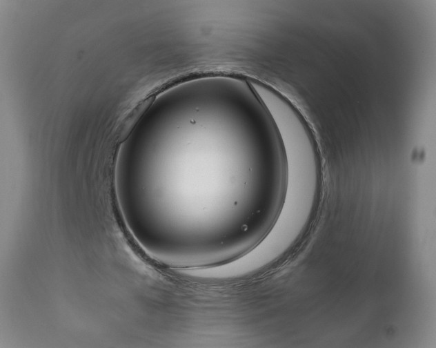 X0000112410577200908211124