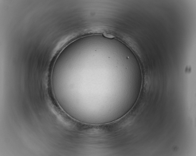 X0000112410578200908211124