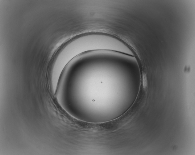 X0000112410579200908211124