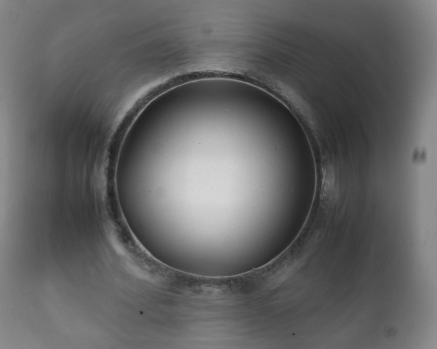 X0000112410580200908211124