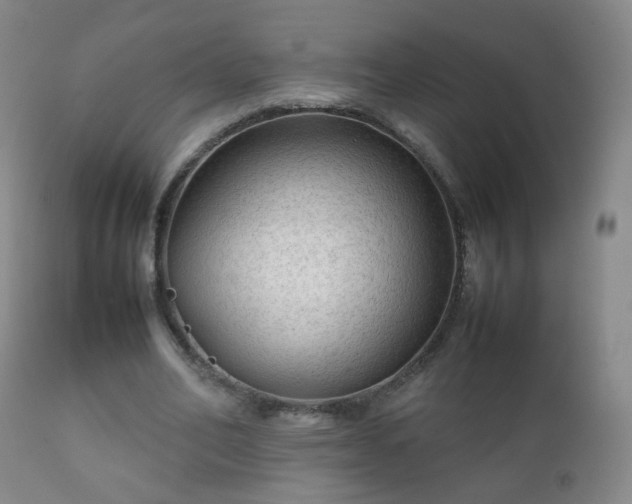 X0000112410582200908211124