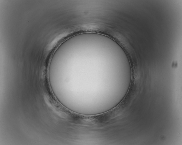 X0000112410583200908211124