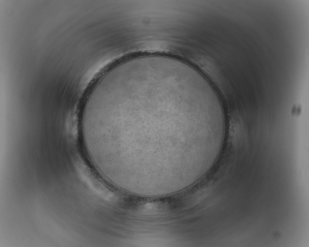 X0000112410584200908211124