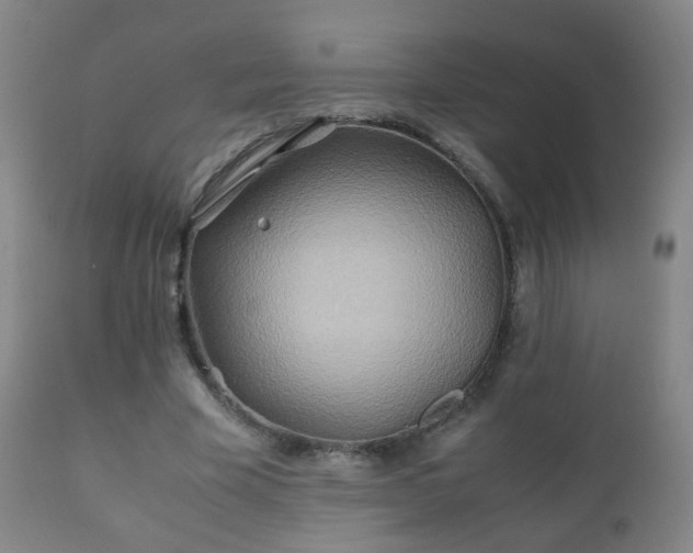 X0000112410585200908211124