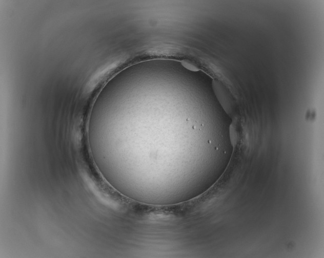 X0000112410586200908211124