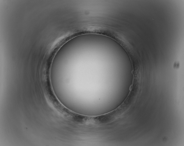 X0000112410587200908211124
