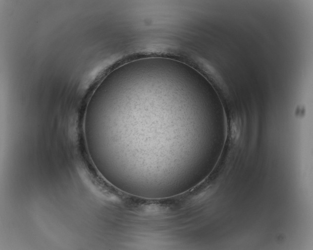 X0000112410588200908211124