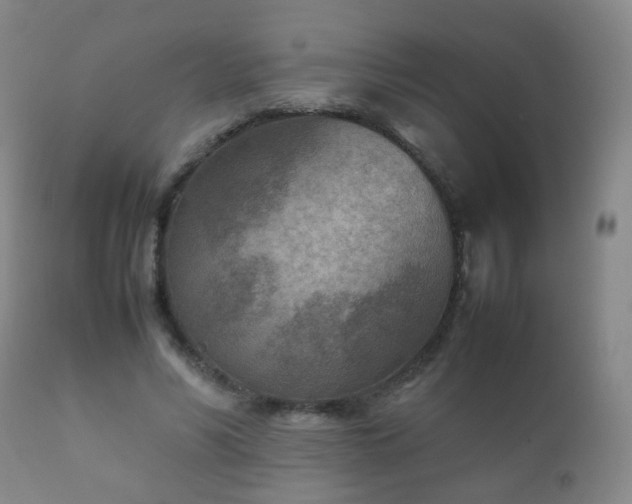 X0000112410590200908211124