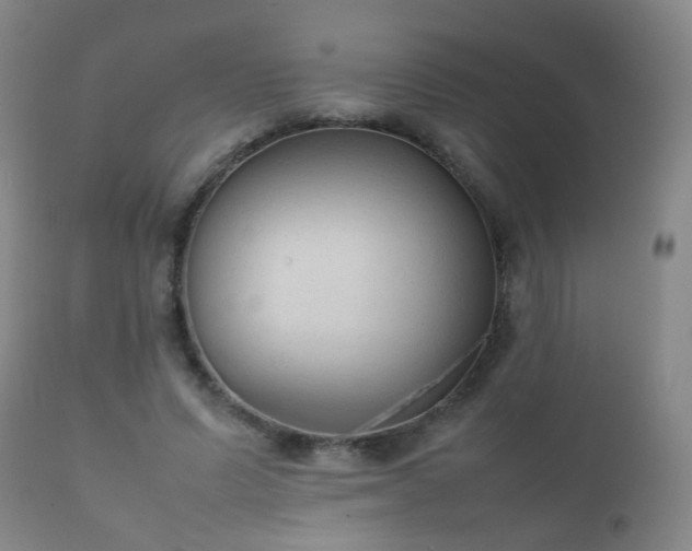 X0000112410591200908211124