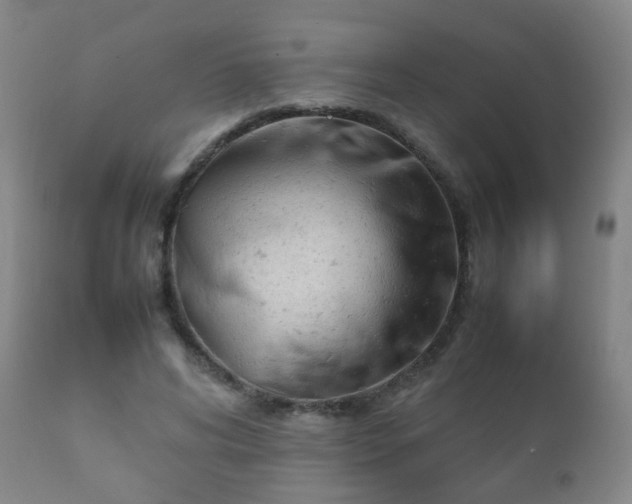 X0000112410592200908211124