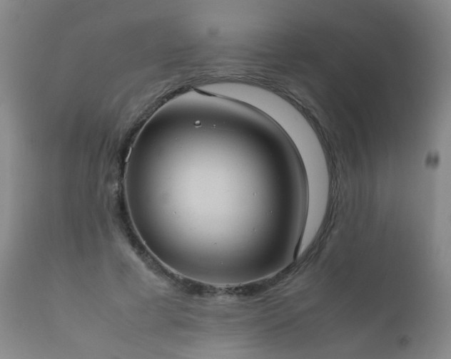 X0000112410593200908211124