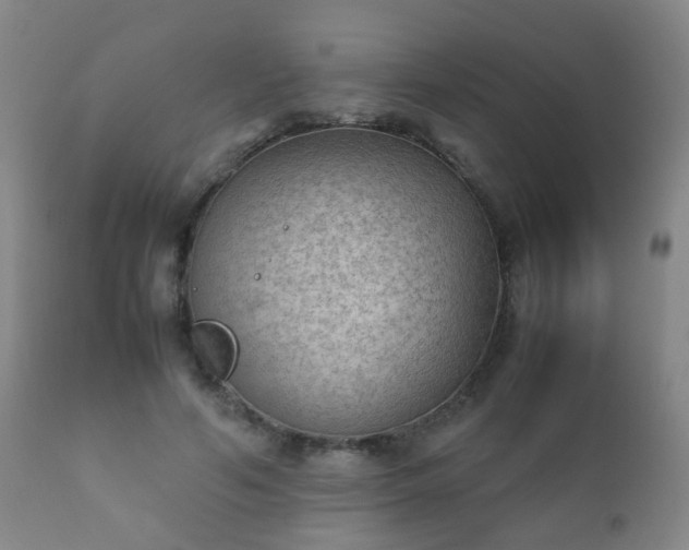 X0000112410594200908211124