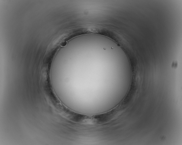 X0000112410595200908211124