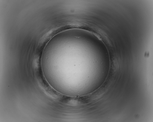 X0000112410596200908211124
