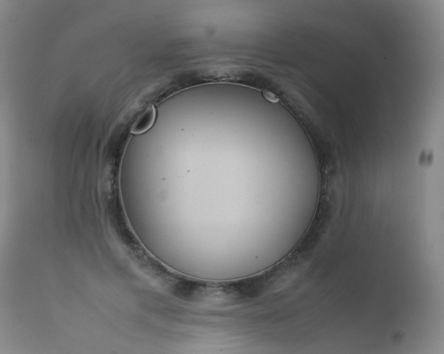 X0000112410597200908211124