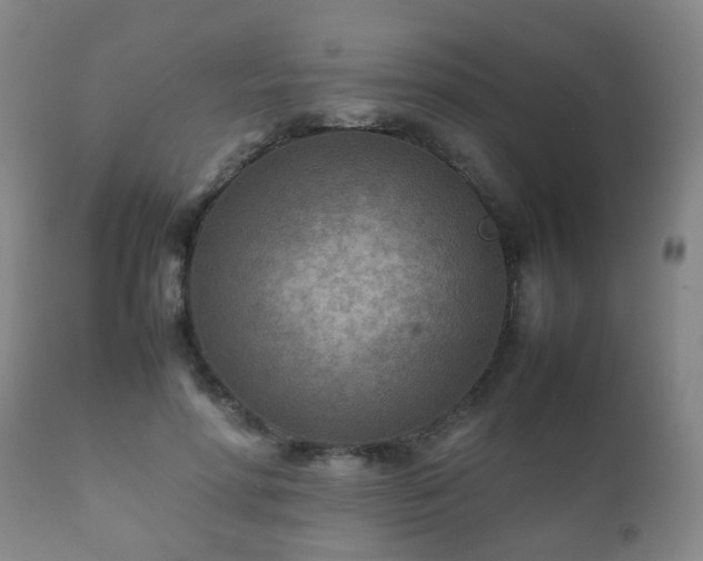 X0000112410598200908211124