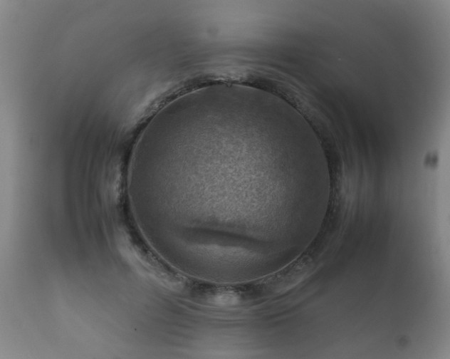 X0000112410600200908211123