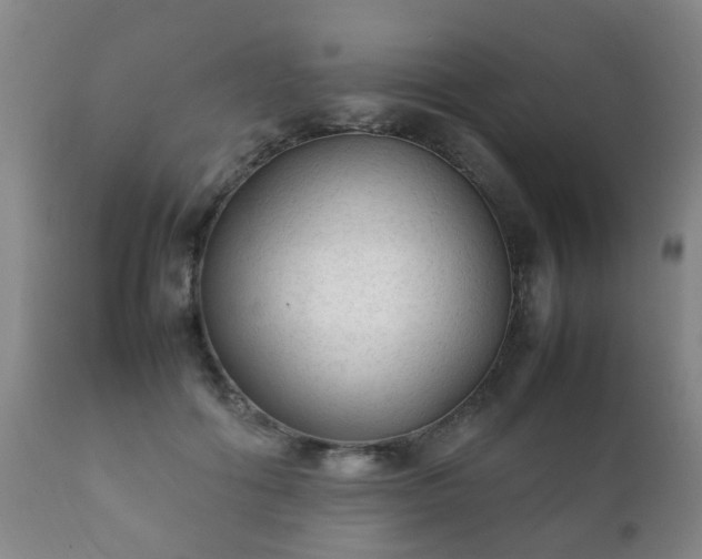 X0000112410602200908211123