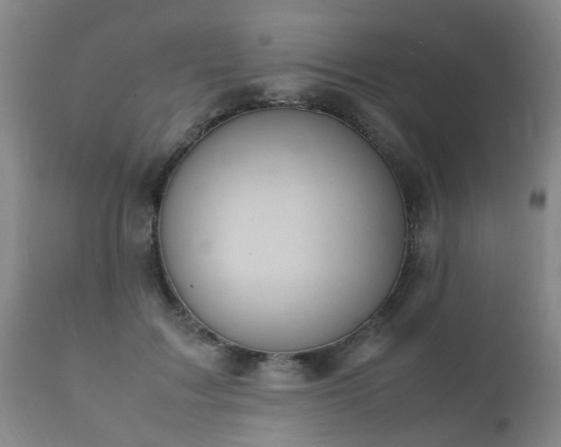 X0000112410603200908211123
