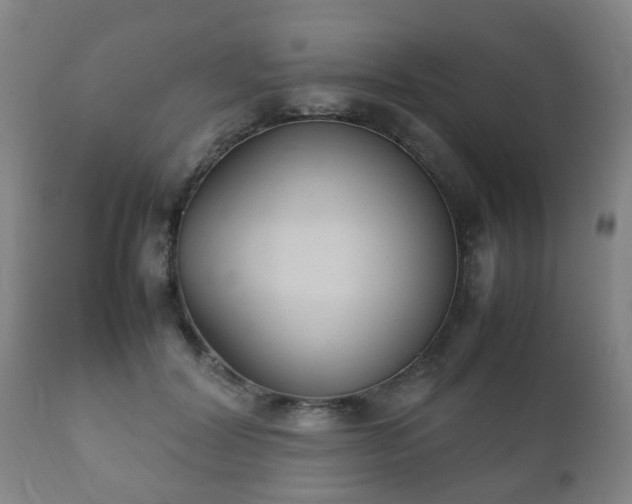 X0000112410604200908211123
