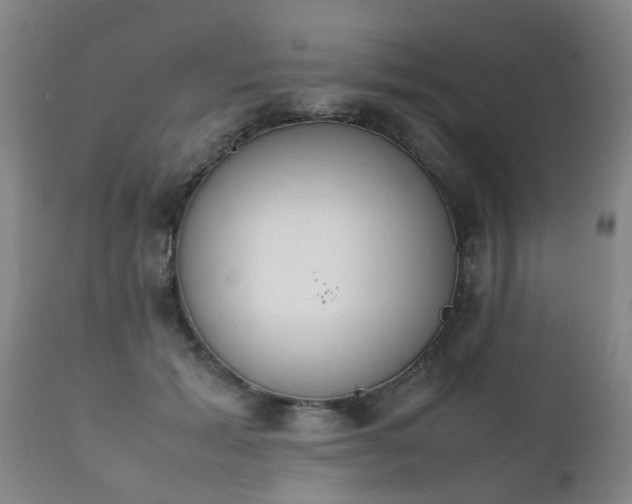 X0000112410605200908211123