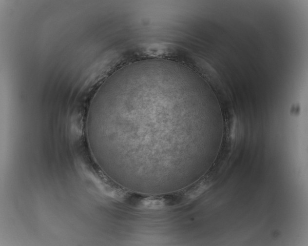 X0000112410606200908211123