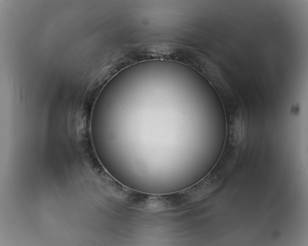 X0000112410608200908211123