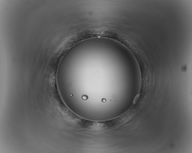 X0000112410609200908211123