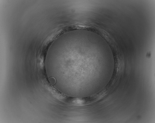 X0000112410610200908211123