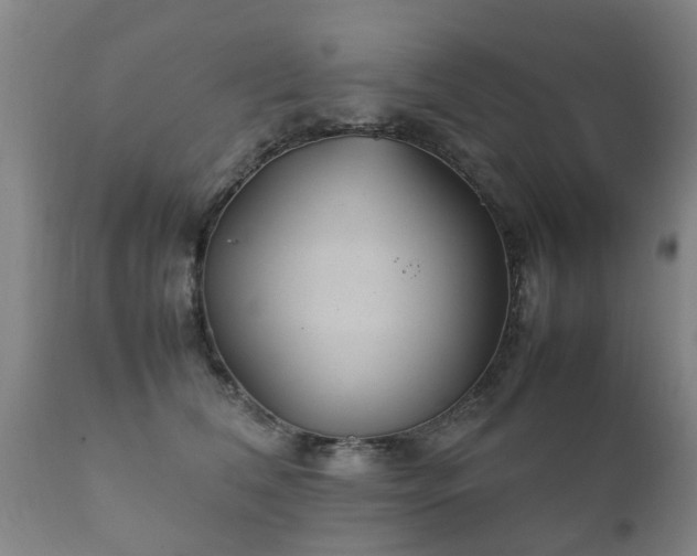 X0000112410612200908211123