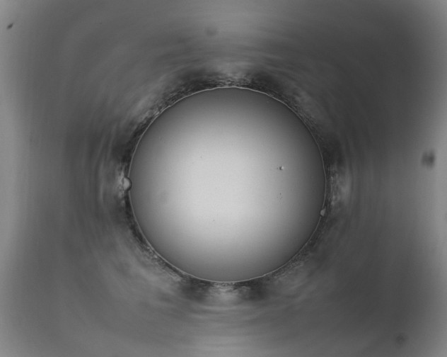 X0000112410613200908211123