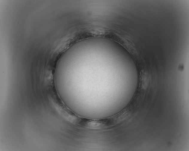 X0000112410614200908211123