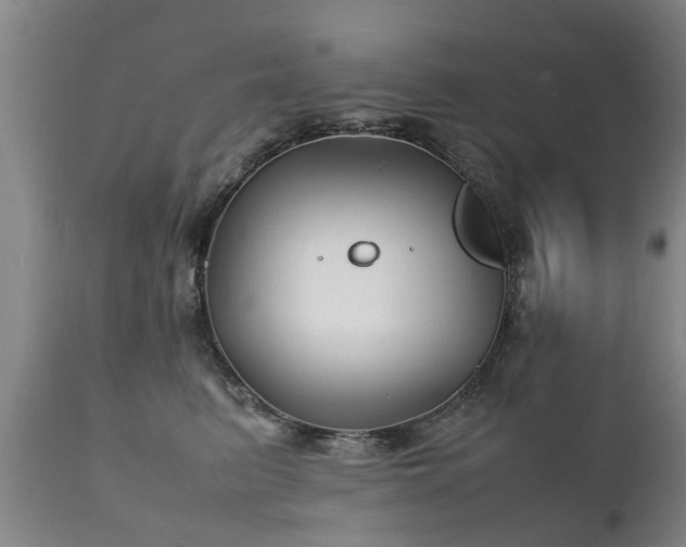 X0000112410615200908211123